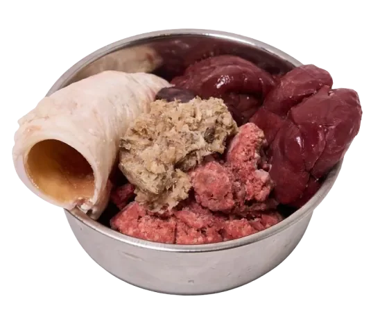 Raw Dawg beef and green tripe blend bowl